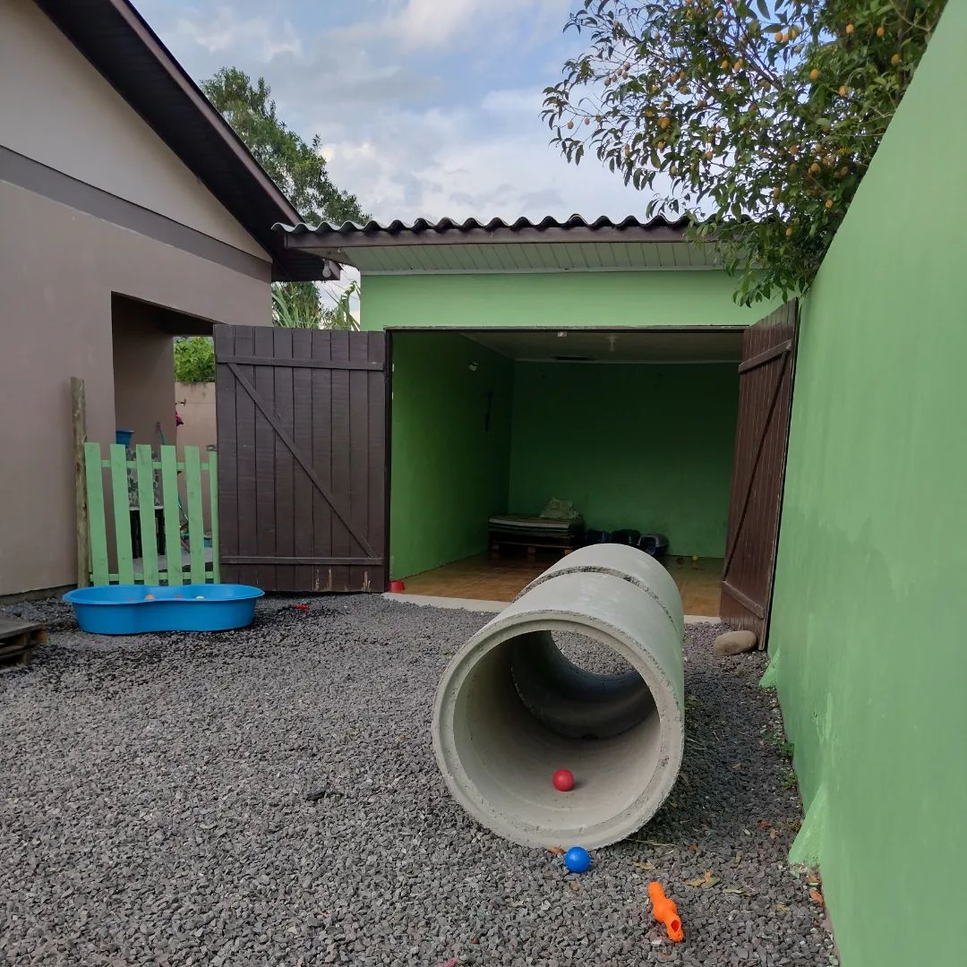Ambiente 1 – Pets Tia Jô