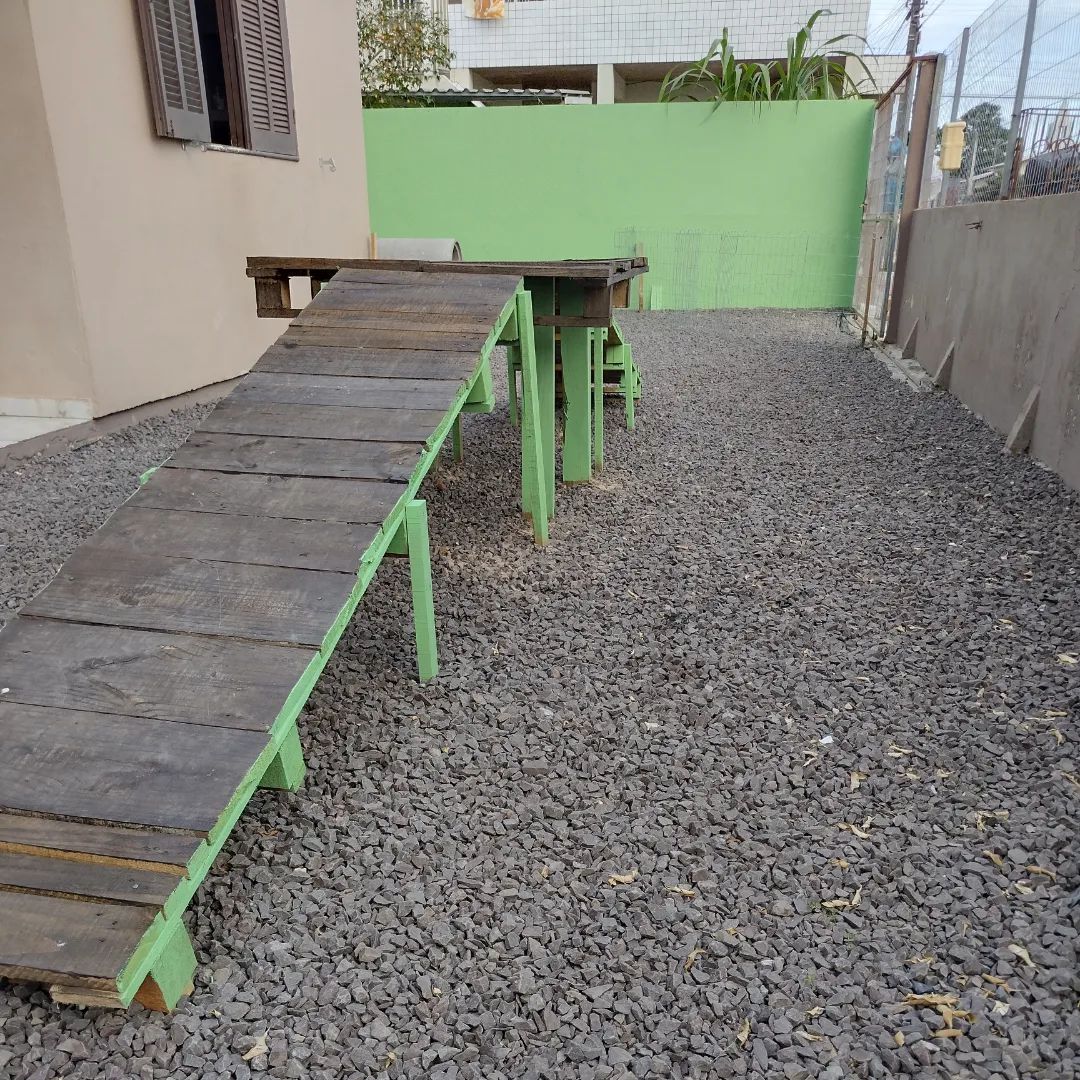 Ambiente 3 – Pets Tia Jô