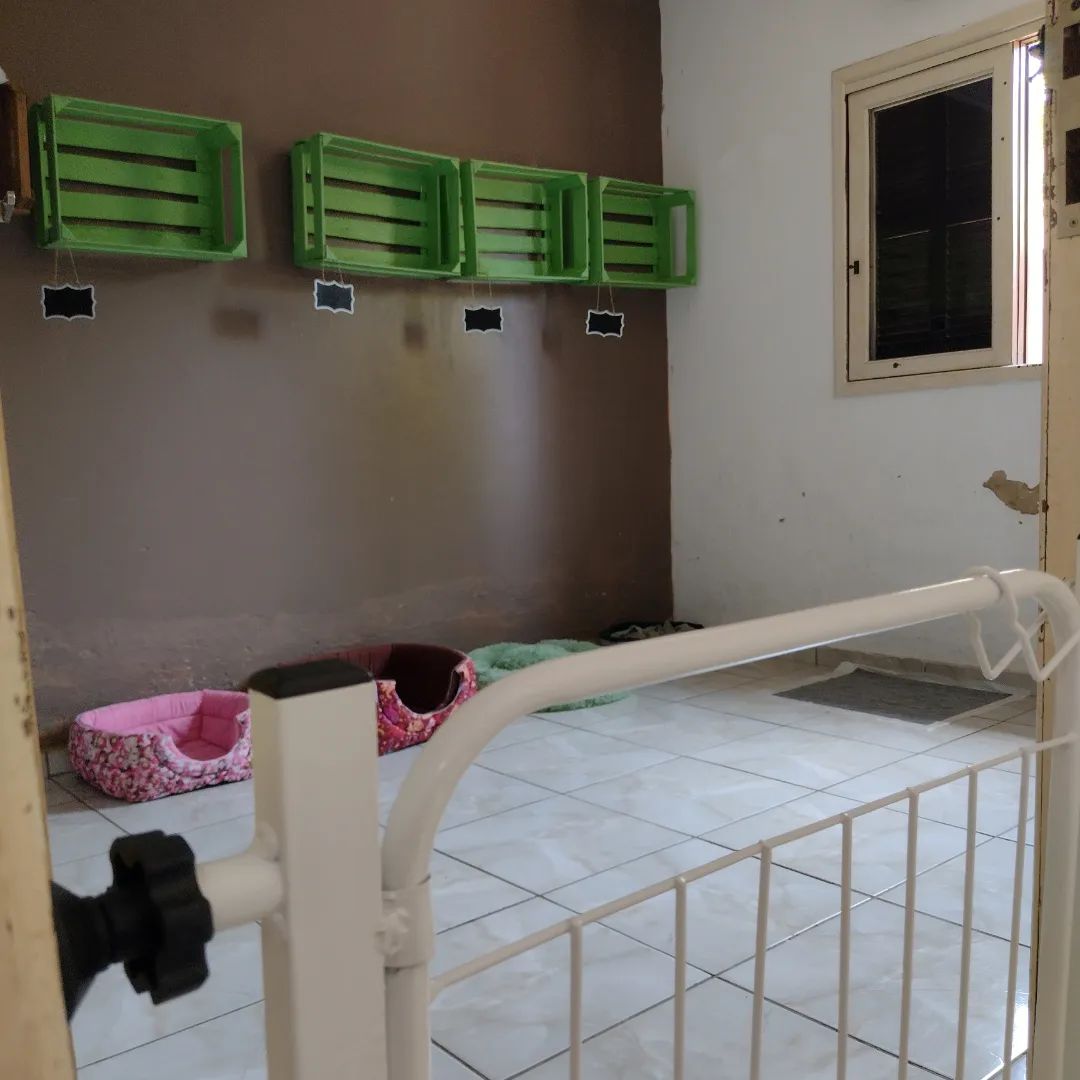 Ambiente 5 – Pets Tia Jô