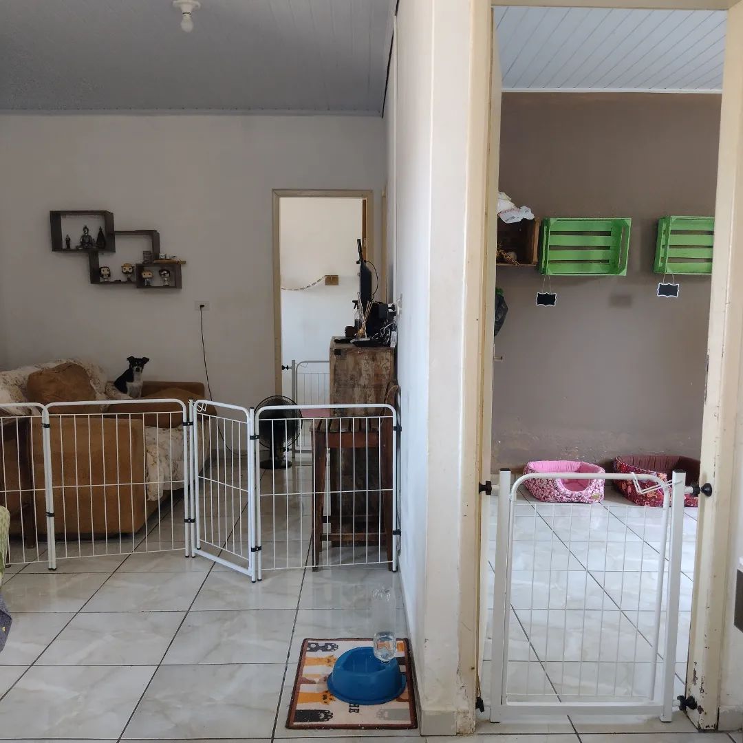 Ambiente 6 – Pets Tia Jô