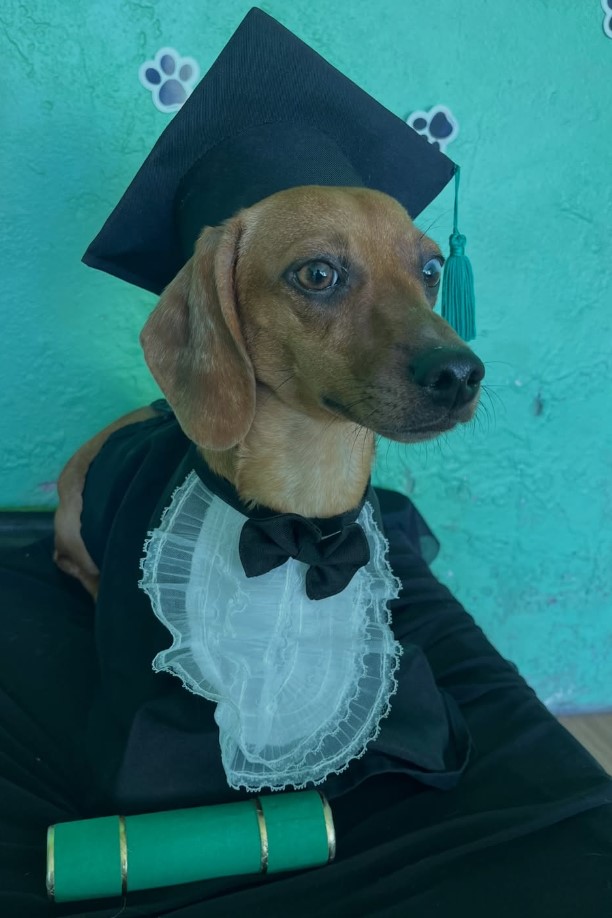 Lupinha